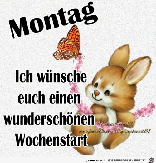 montag263