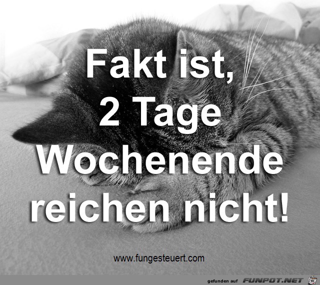 fakt ist 2 tage wochenende reichen nicht