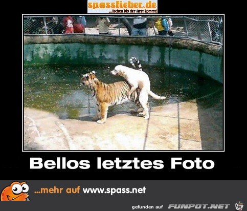 bellos-letztes-foto-483x352 bellos-letztes-foto-483x352
