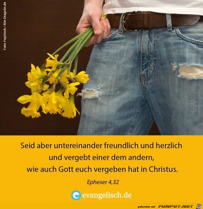 Epheser 4 32 Epheser 4 32