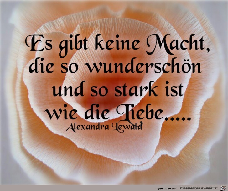 Es gibt keine Macht Es gibt keine Macht