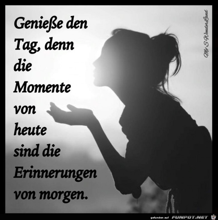 geniesse den Tag geniesse den Tag