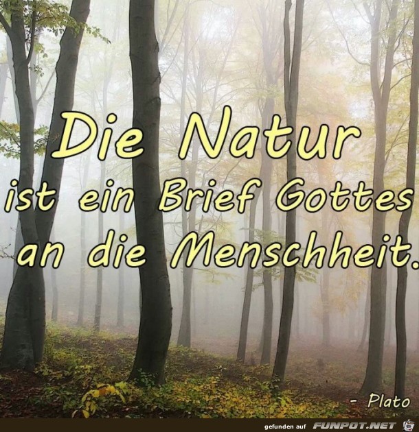 Die Natur... Die Natur...