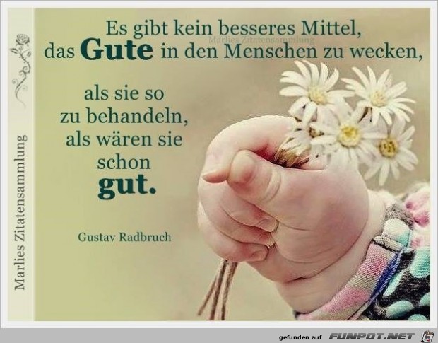 gut