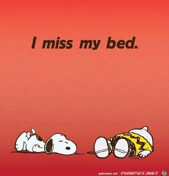 I miss my bed I miss my bed