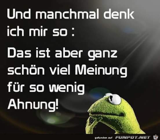 Meinung Meinung