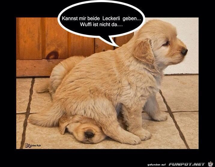 Leckerlie Leckerlie
