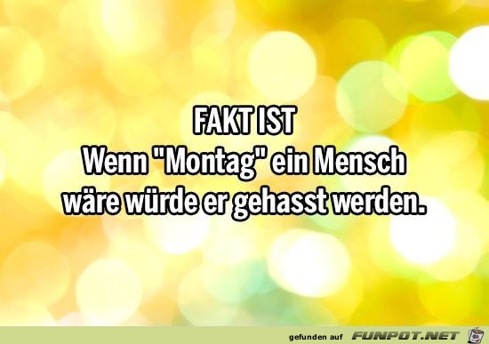 montag