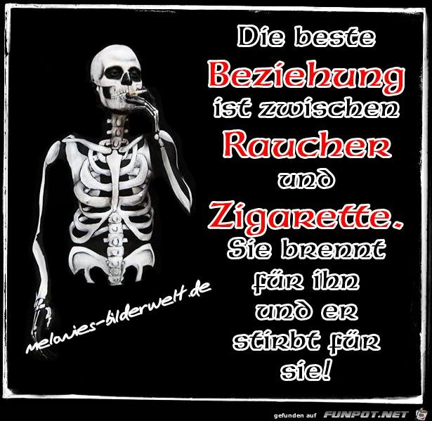 Die beste Beziehung