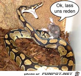 080815-ok - lass uns reden 080815-ok - lass uns reden