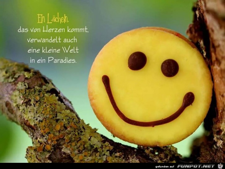 Ein Laecheln Ein Laecheln