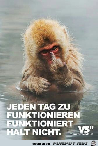 funktionieren funktionieren