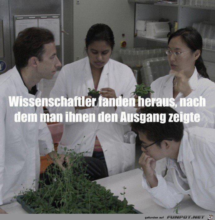 Wissenschaftler... Wissenschaftler...