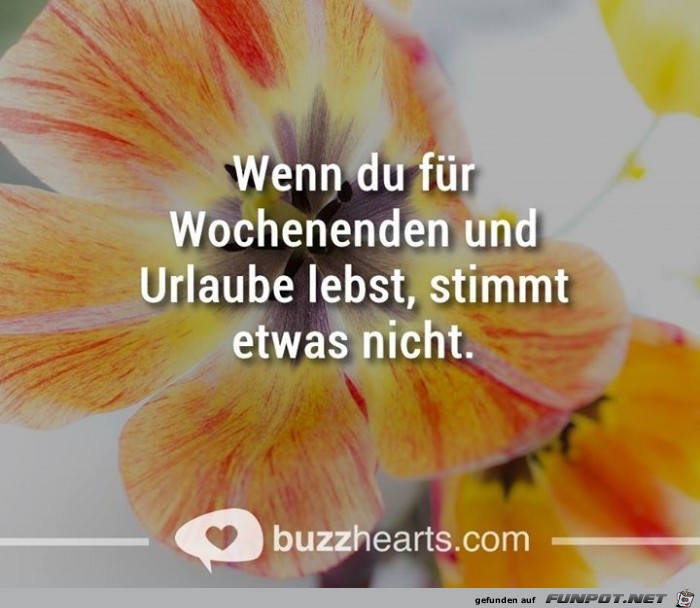 wenn du wenn du