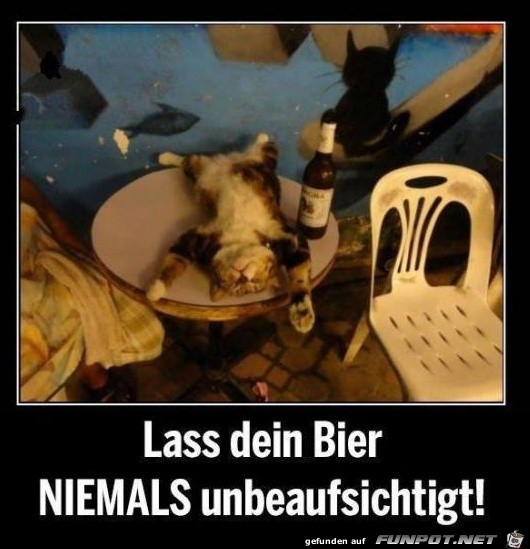 Bier Bier