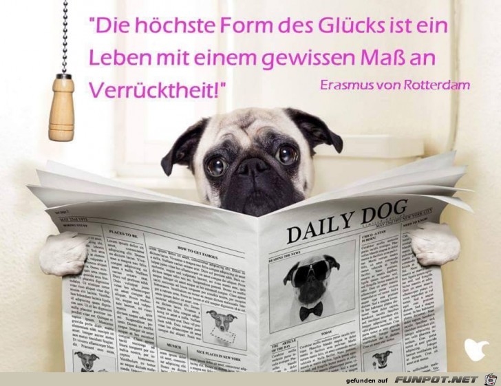 Die hoechste Form Die hoechste Form