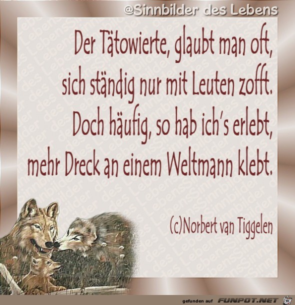 der Taeaetowierte der Taeaetowierte
