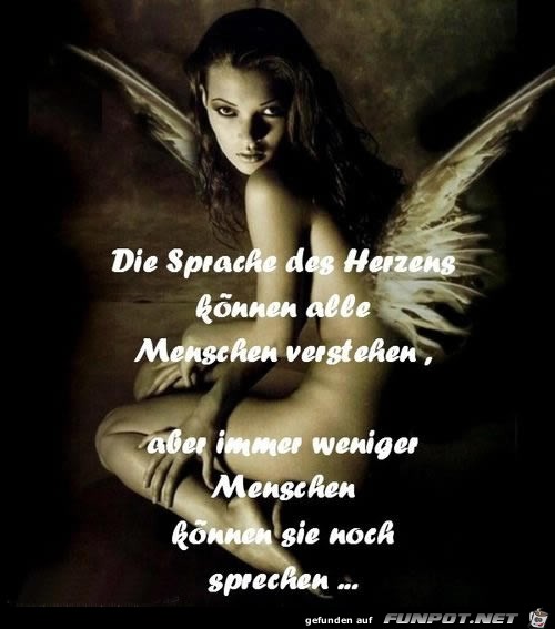 die sprache die sprache