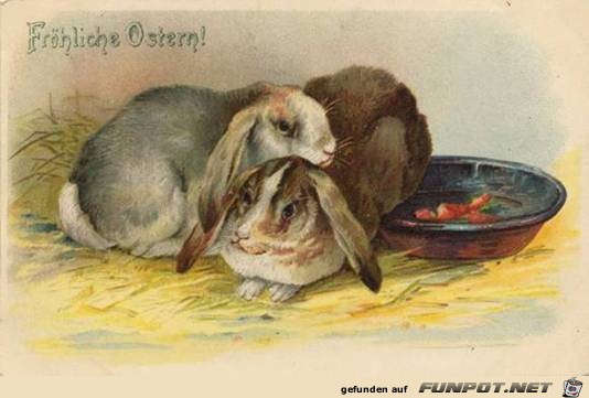 image006 image006