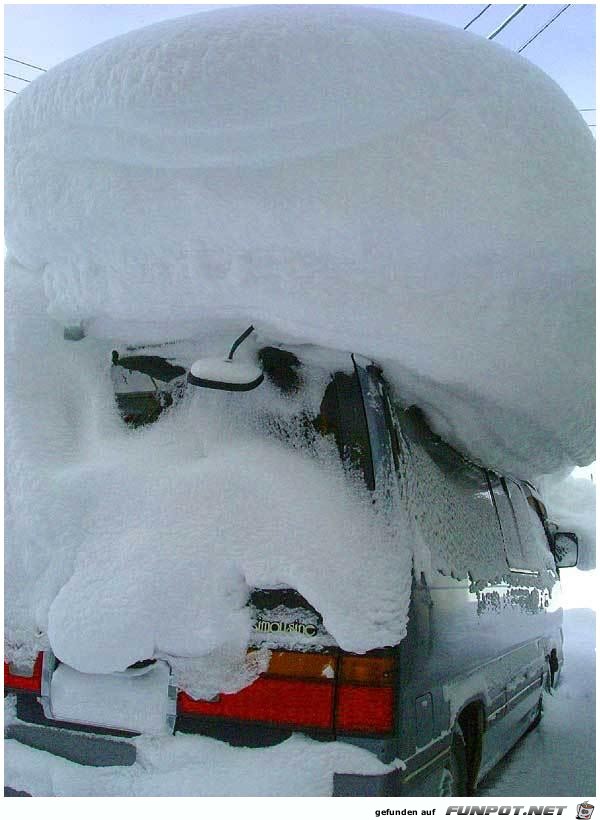 Winter Winter
