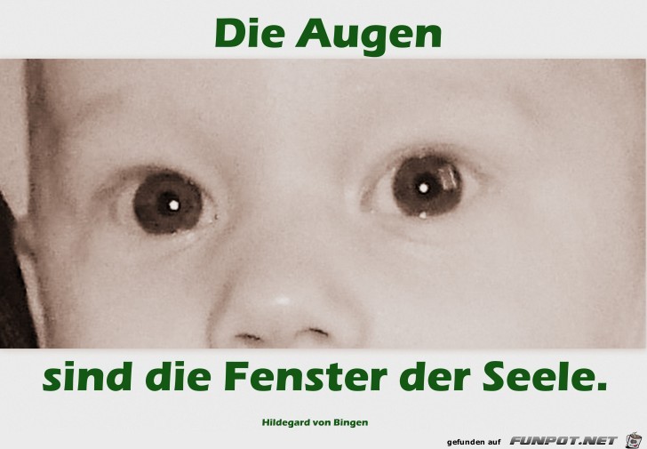 die augen die augen