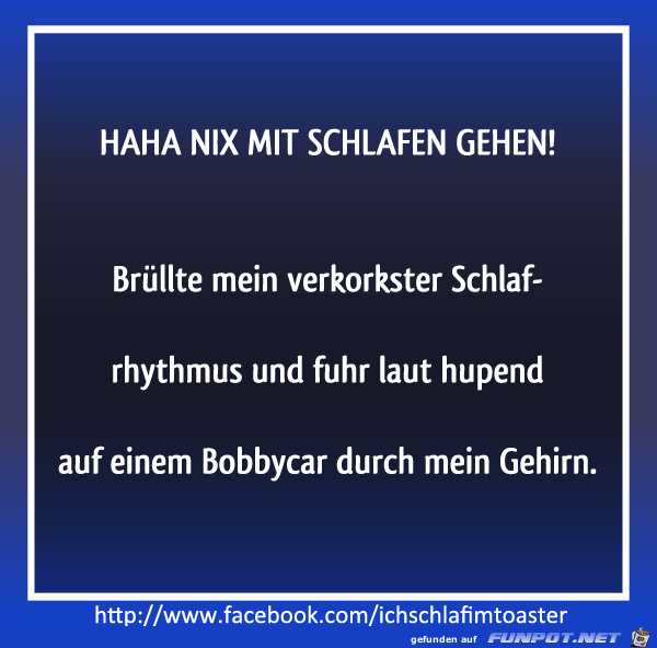 Schlafrhythmus Schlafrhythmus