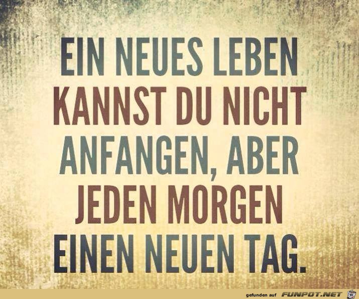 ein neues leben ein neues leben