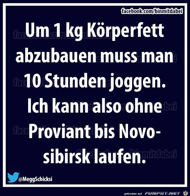 Fitness Fitness