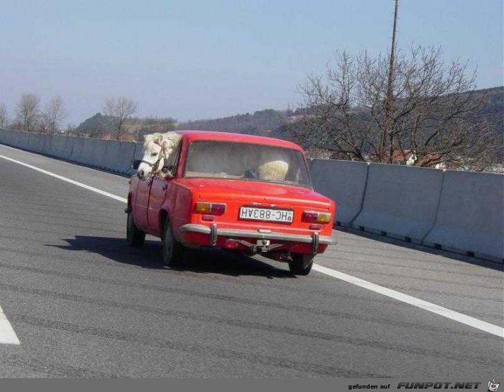 Ferrari1 Ferrari1