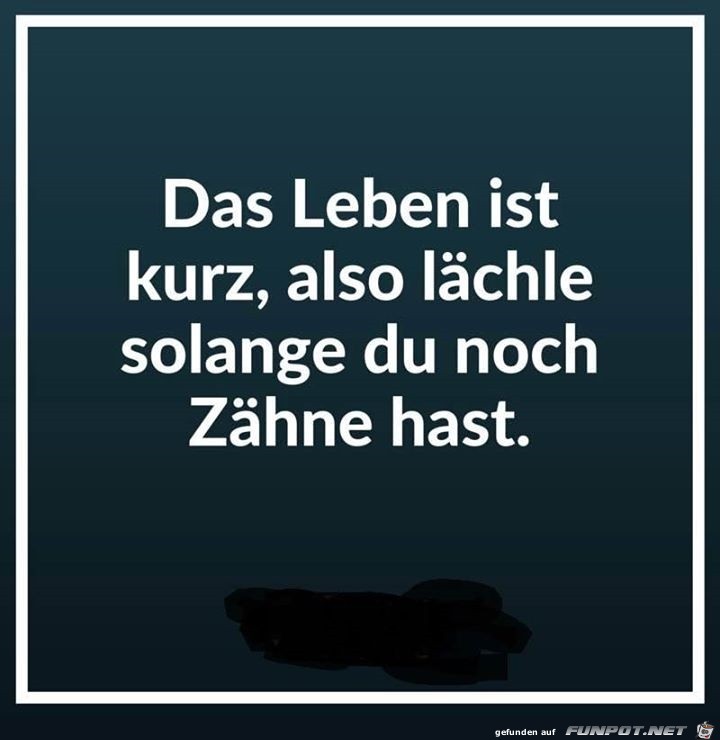 zaehne zaehne