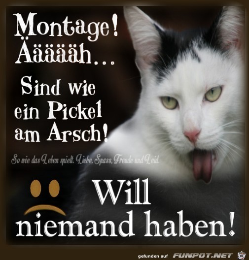 Montage Montage