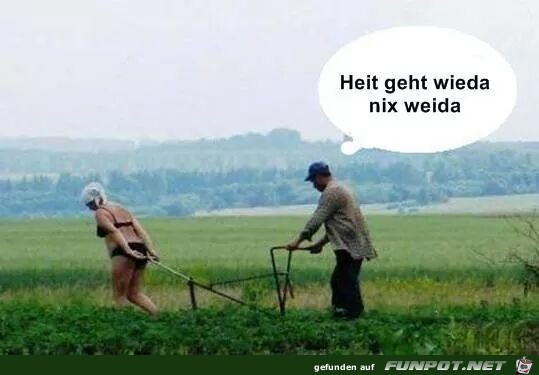 Nix weida