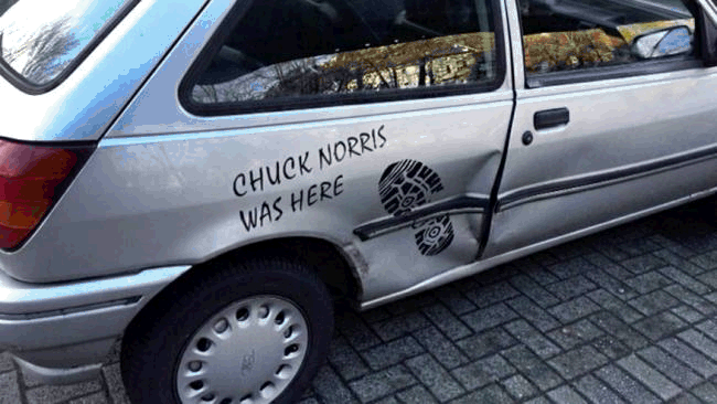 witzige Bilder