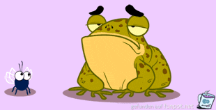 frog frog