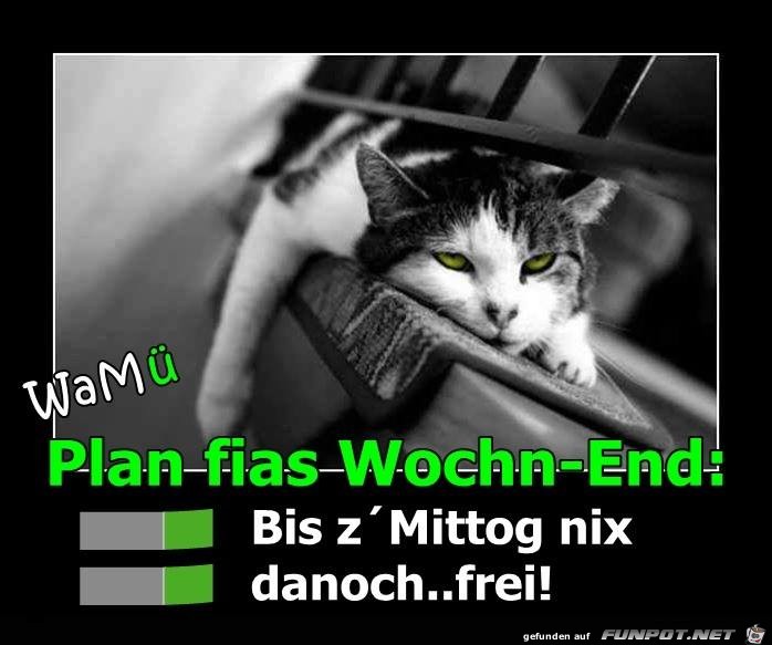 PLAN FUeRS WOCHENEND