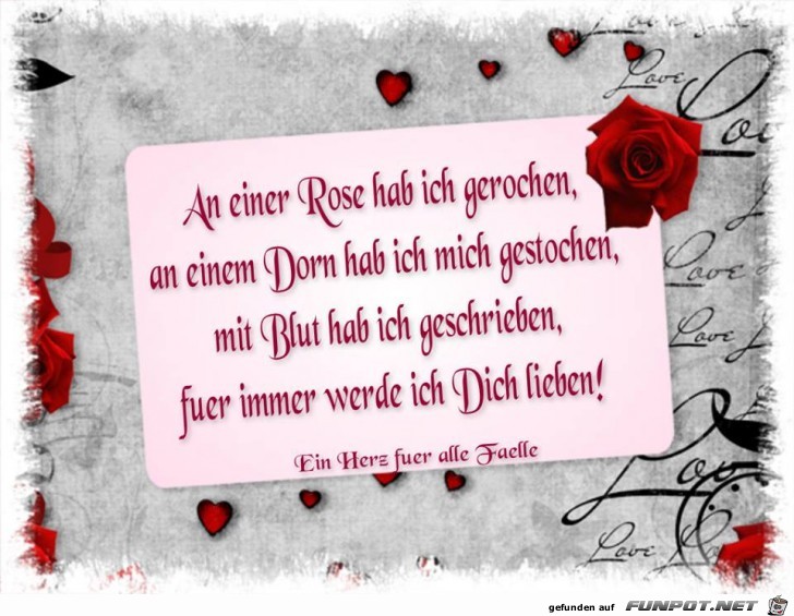 An einer Rose