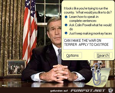 Bush1 Bush1