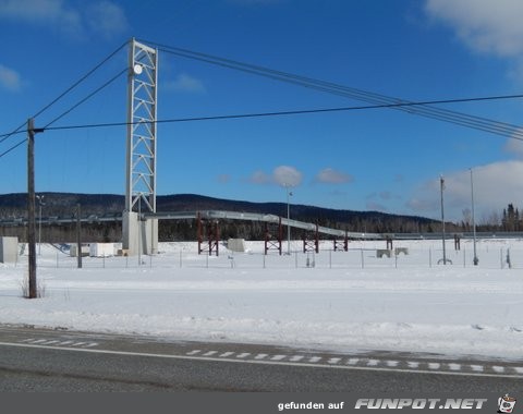 Herd of cariboo and alaska pipeline in April 2013