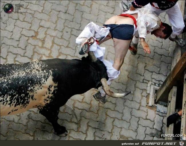 Bulls Brutal Revenge Funzug org 20 Bulls Brutal Revenge Funzug org 20