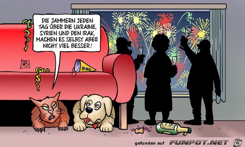 Silvesterknallerei und Haustiere