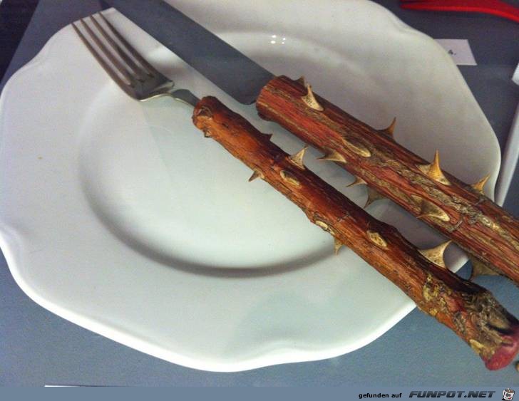 DIETA DIETA