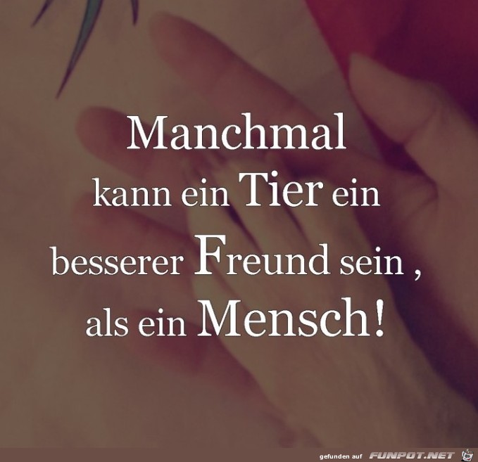 manchmal kann ein Tier