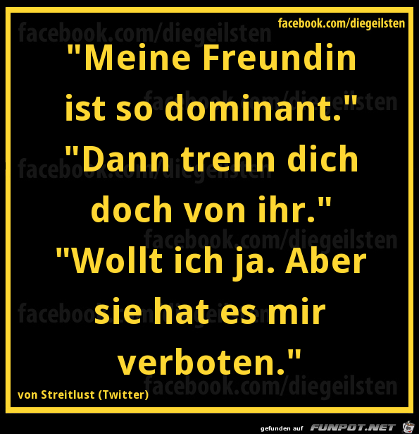 diegeilsten dominant diegeilsten dominant