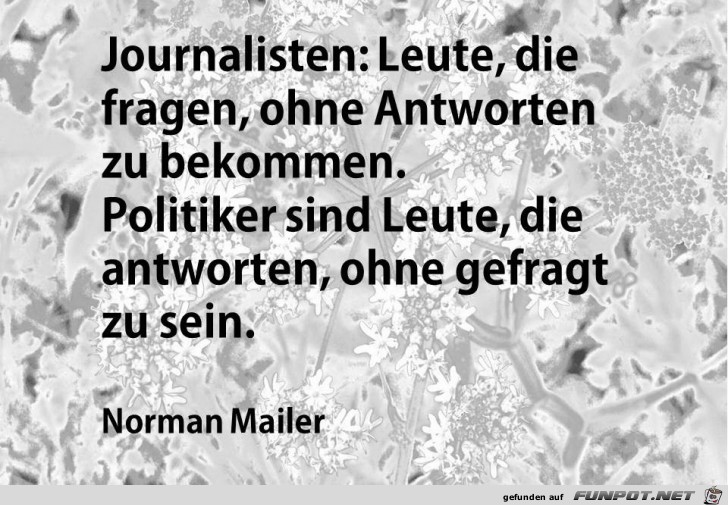 Journalisten