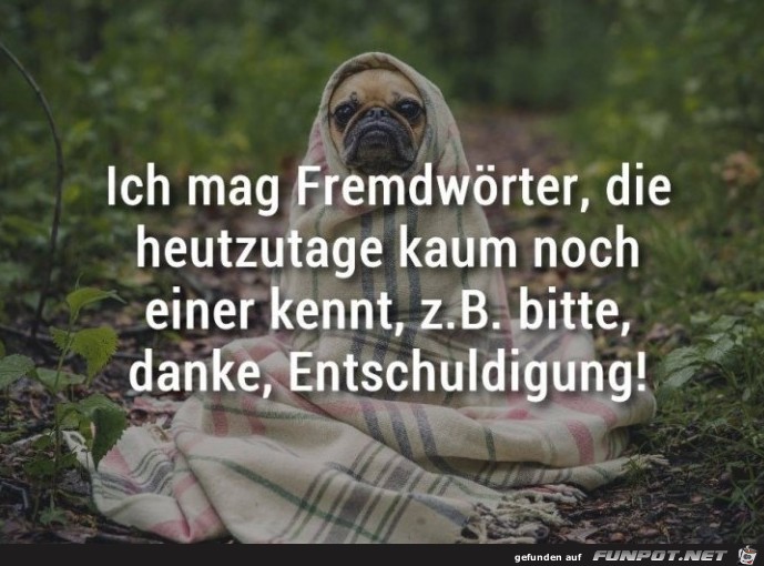 Ich mag Fremdwoerter