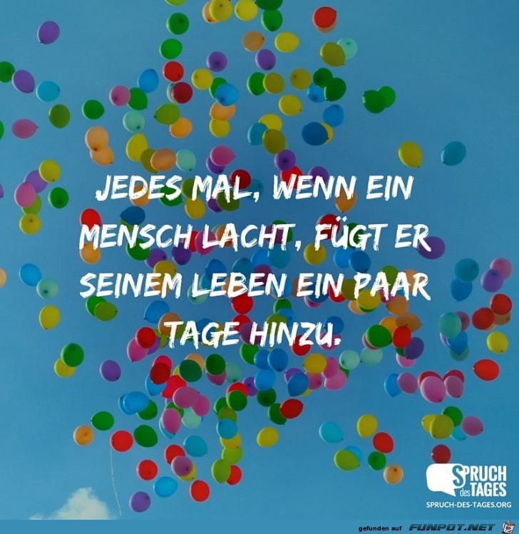 jedes-mal- jedes-mal-