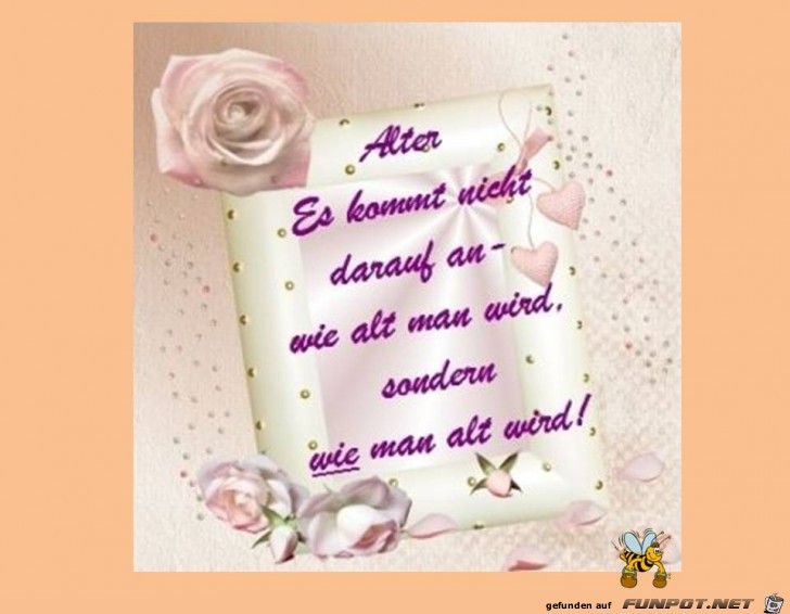 Alter Alter