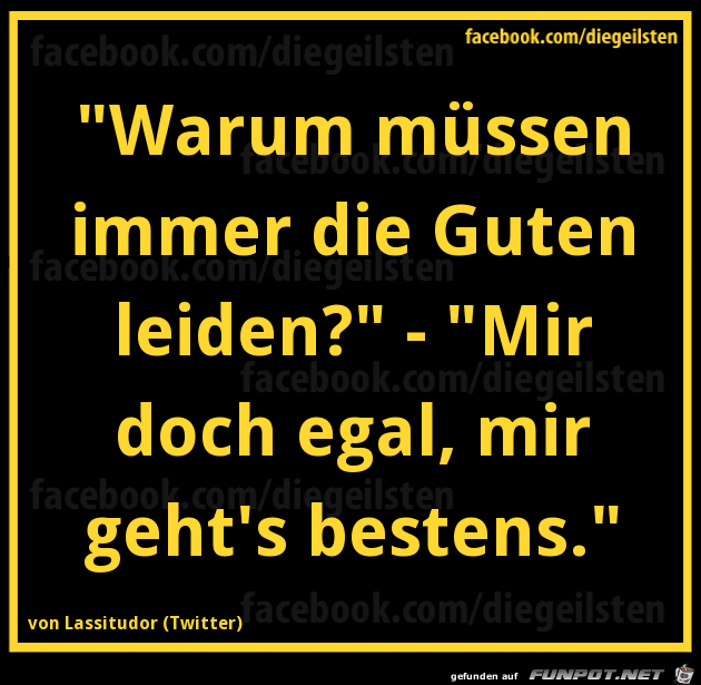 diegeilsten bestens diegeilsten bestens