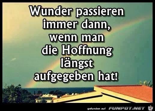 Wunder Wunder