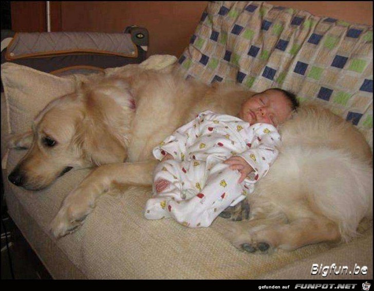 Sleeping Baby Sleeping Baby